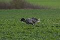 20100325-FLS_8354