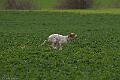 20100325-FLS_8361