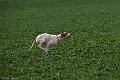 20100325-FLS_8364