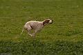 20100325-FLS_8393