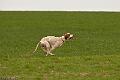 20100325-FLS_8413