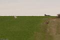 20100325-FLS_8447