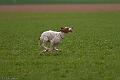20100325-FLS_8455