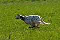 20100409-FLS_9429