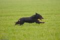 20100414-FLS_0591