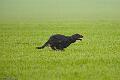 20100414-FLS_0711