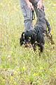 20100807-FLS_4040