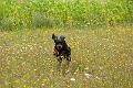20100807-FLS_4055