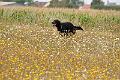 20100807-FLS_4144