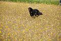 20100807-FLS_4148
