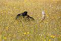 20100807-FLS_4158