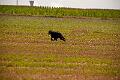20100807-FLS_4472