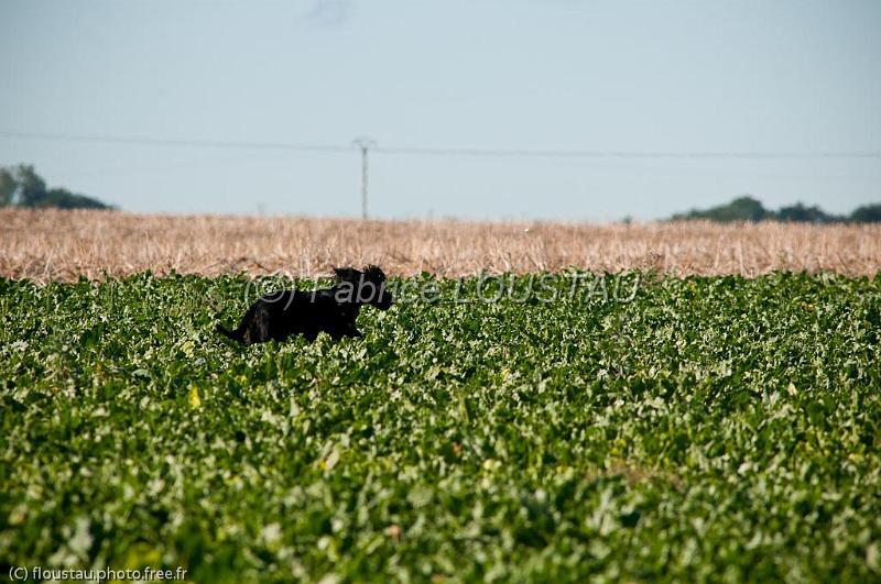 20100821-FLS_4769.jpg