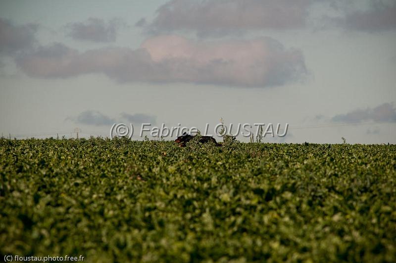 20100821-FLS_4777.jpg