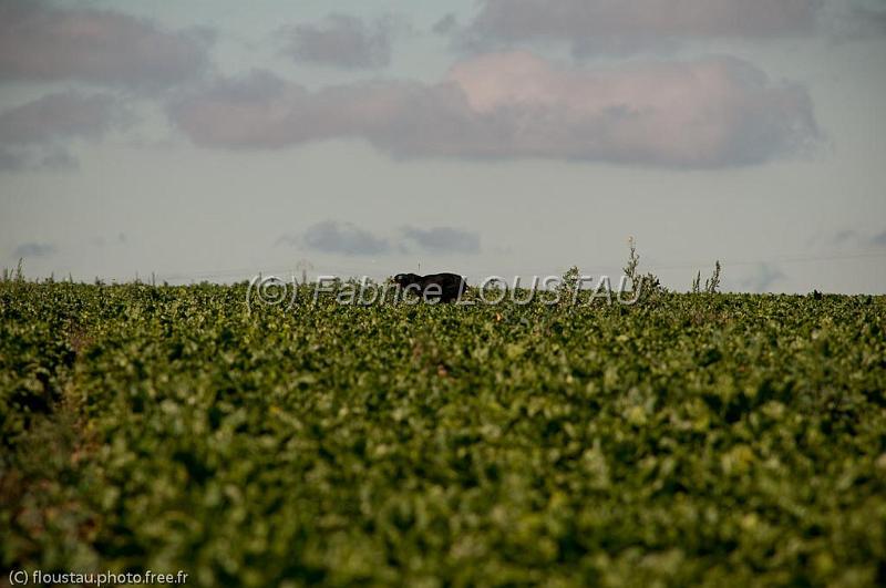 20100821-FLS_4779.jpg