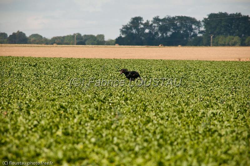 20100821-FLS_4884.jpg