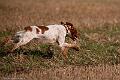 20100905-FLS_5060