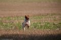 20100905-FLS_5075
