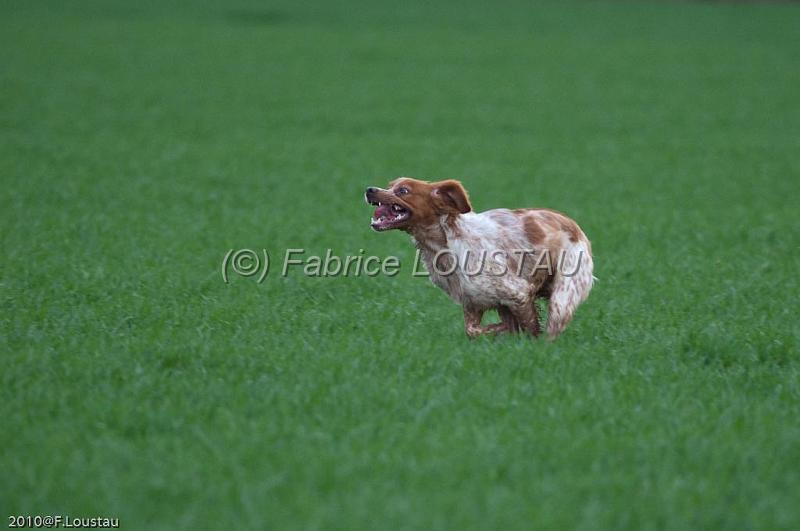20100329-FLS_8780.jpg