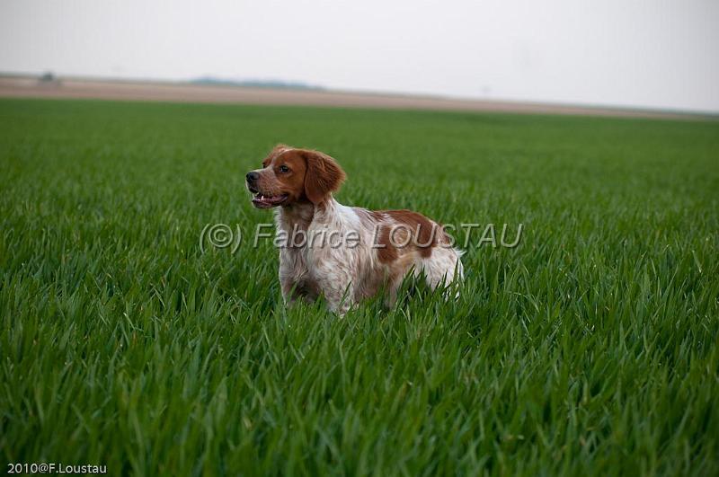 20100412-FLS_9756.jpg