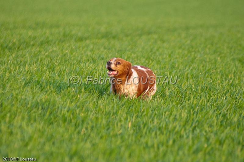 20100412-FLS_9799.jpg