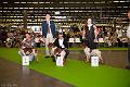 20110710-FLS_5726