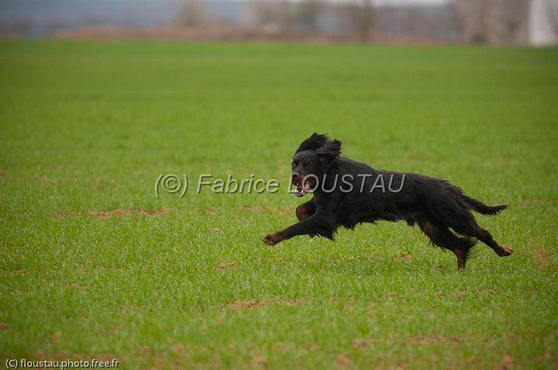 20110313-FLS_8677.jpg - couple Baron de la vallée des epinettes/Andalou