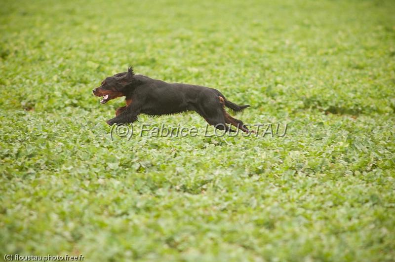 20110313-FLS_8880.jpg - Daika de la vallée des epinettes