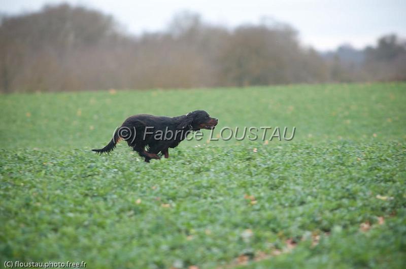 20110313-FLS_9023.jpg - Celtic des hauts du barry