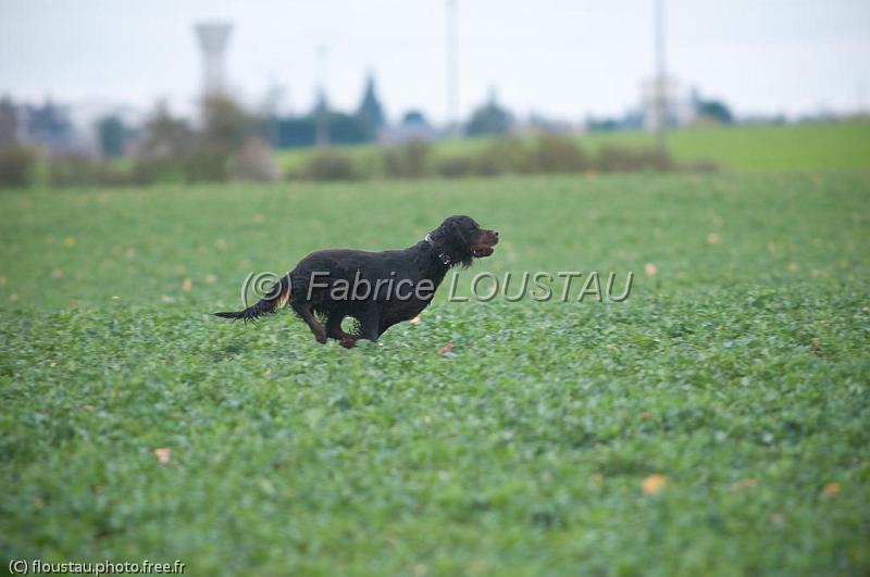 20110313-FLS_9030.jpg - Celtic des hauts du barry