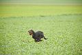 20110313-FLS_8957