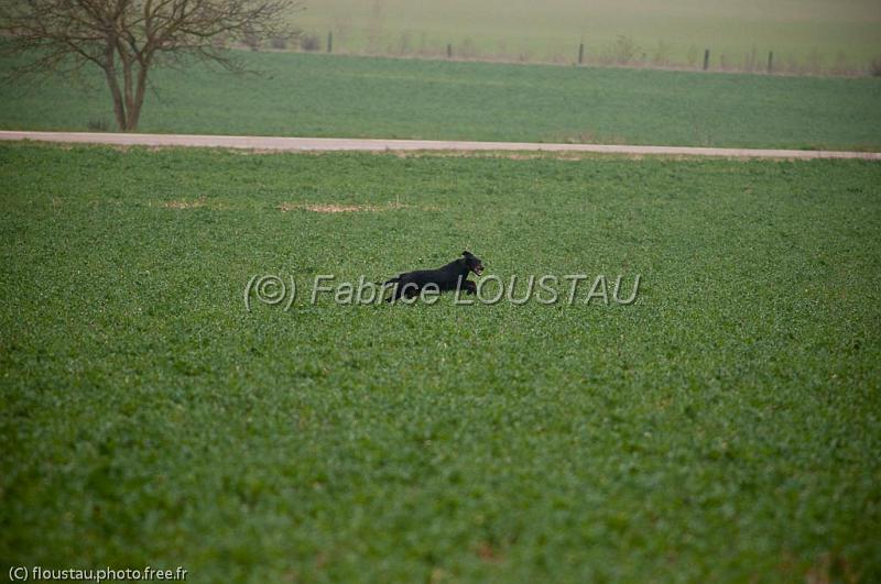 20110319-FLS_9341.jpg - 19/03 Couple Titano/Dahn de la campagne gravé