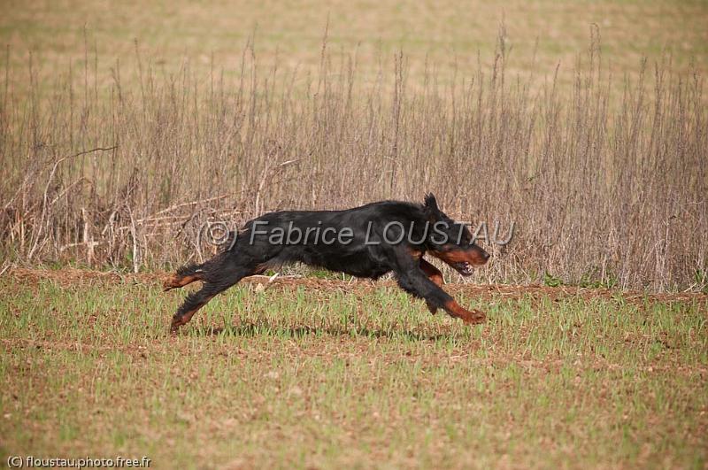 20110320-FLS_0467.jpg - 20/03 Reprise