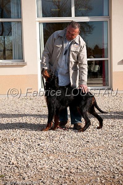 20110320-FLS_9900.jpg - Callune France