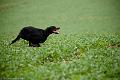 20110319-FLS_9137