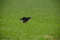 20110319-FLS_9705