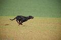 20110320-FLS_0221