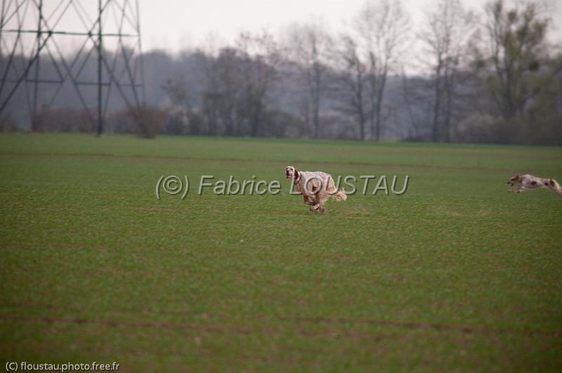20110327-FLS_0955.jpg