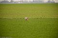 20110327-FLS_0782