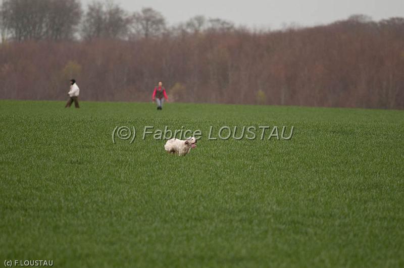 110405-FLS_2308.jpg
