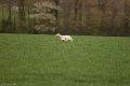 110405-FLS_2340