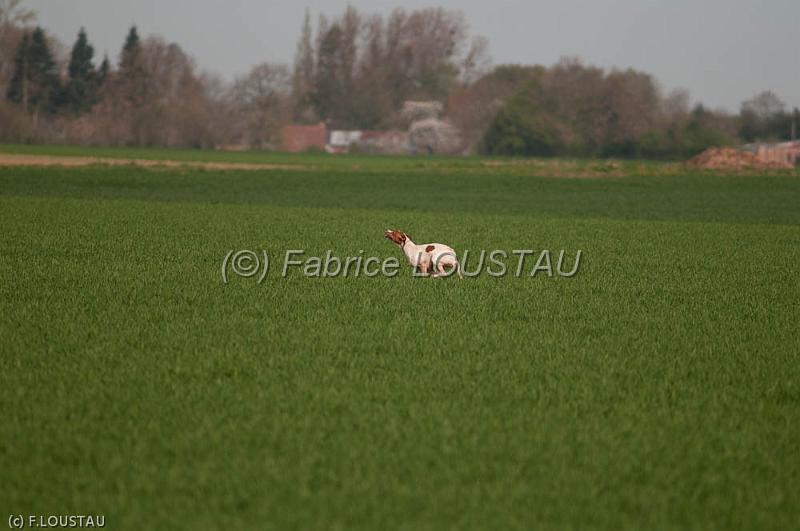 110407-FLS_2490.jpg