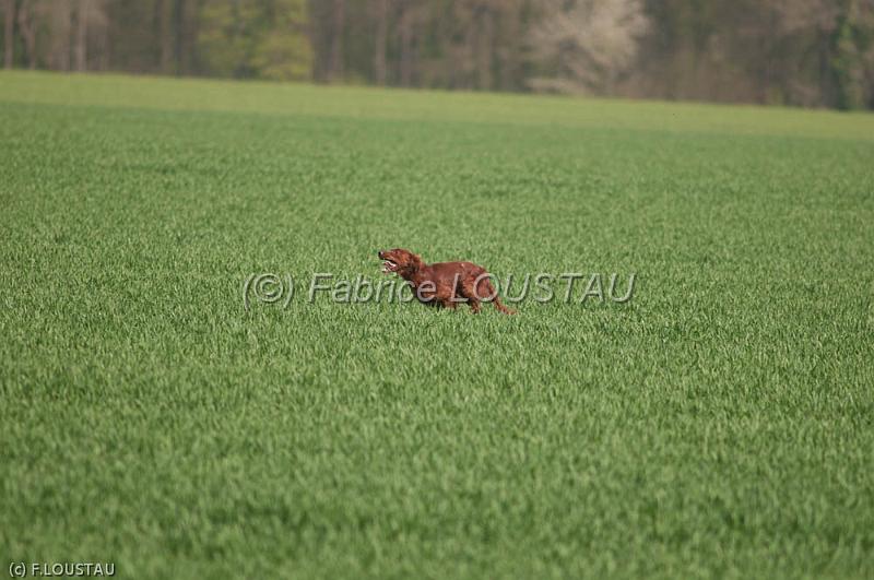 110407-FLS_2534.jpg - Aglou d'hurtevent