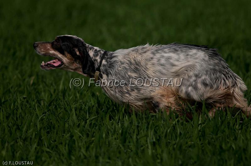 110407-FLS_2658.jpg - Kid