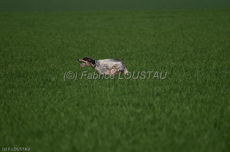 110407-FLS_2677.jpg - Kid