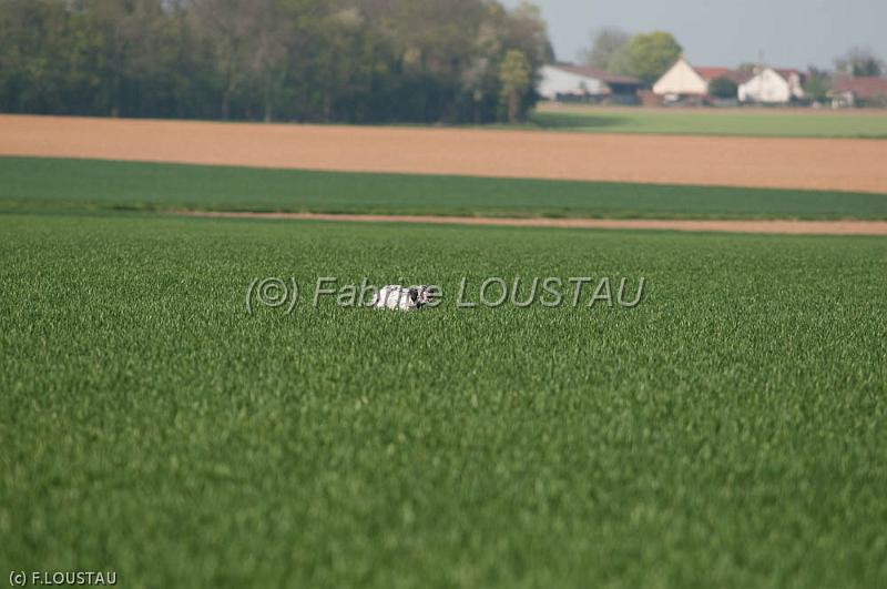 110409-FLS_2943.jpg