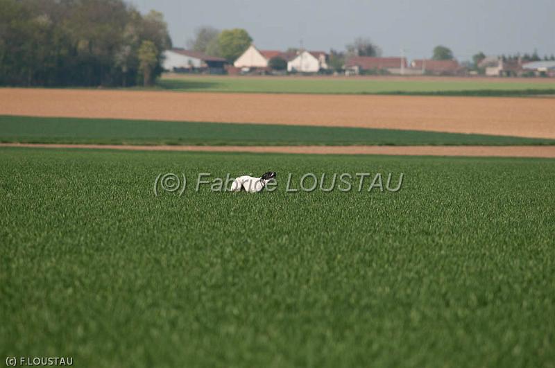 110409-FLS_2953.jpg