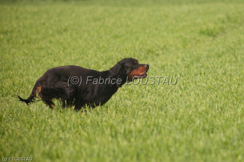 110413-FLS_3272.jpg