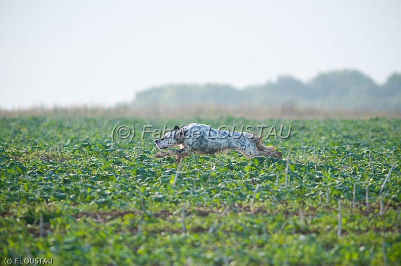20110821-FLS_6263.jpg