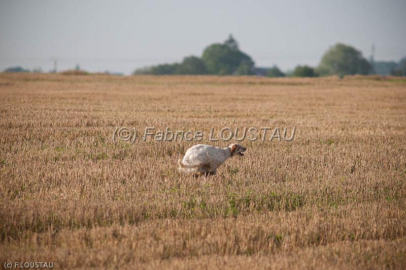 20110821-FLS_6284.jpg